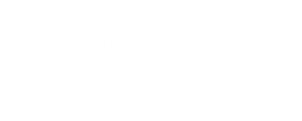 Ometepe Company logo