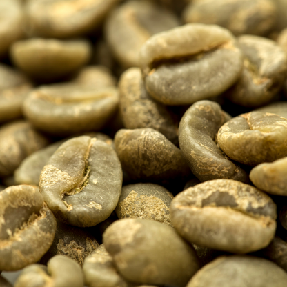 Ometepe Coffee Roasters - Punta Jesus Maria